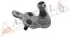 ASMETAL 10TY1011 Ball Joint